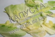 02 Fd Cabbage